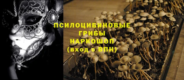 apvp Балахна