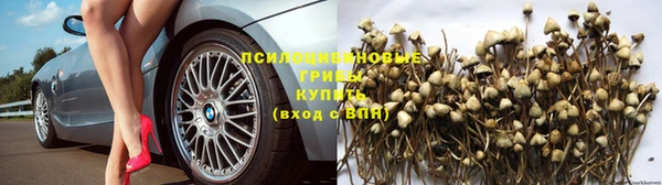 не бодяженный Баксан